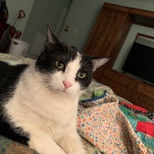 Meet your Posher, Jill